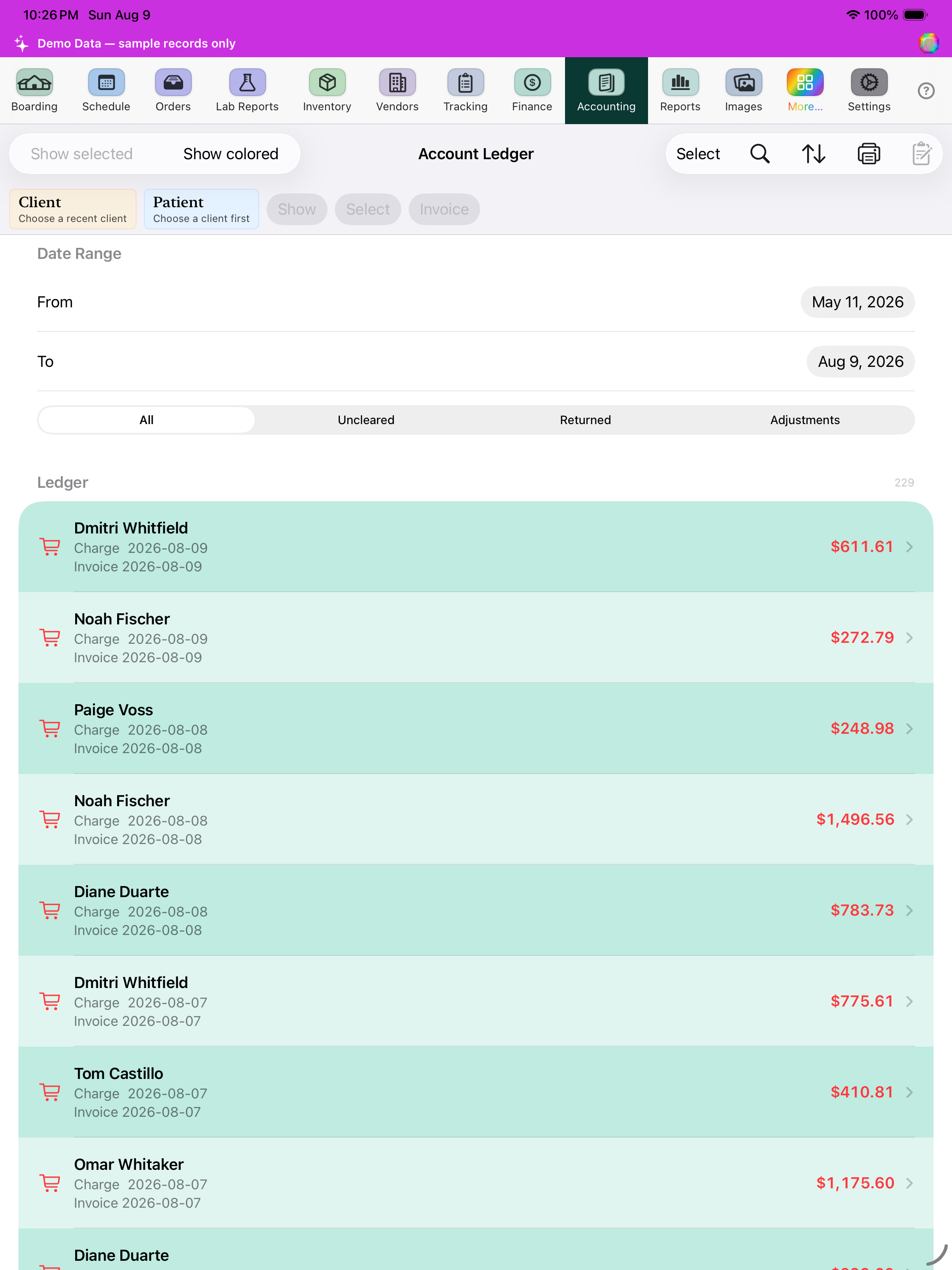 Accounting Records screenshot